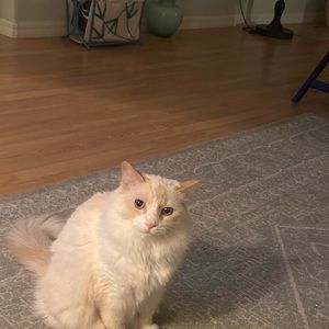 Meet your Posher, Linda